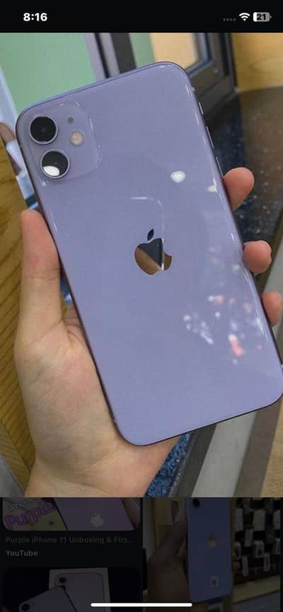 Apple11
