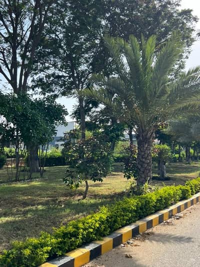 Top Class Bungalow 6 Bed Rooms With 2 Kitchen Garden Parking Servant Room Beautiful Location Reasonable Demand