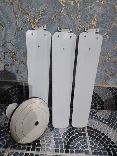 Ceiling fan for sale (AC 220 volt)
