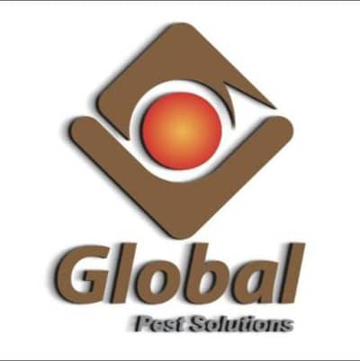 Global pest solutions Whatsapp {03429170906}