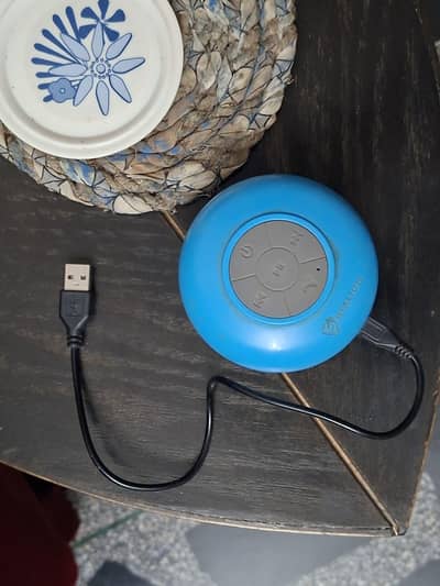 Stallion blue tooth speaker