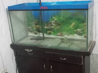 Aquarium for sale