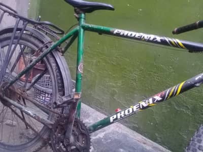 cycle phonex