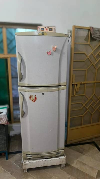 PEL Legacy Curved Door Refrigerator