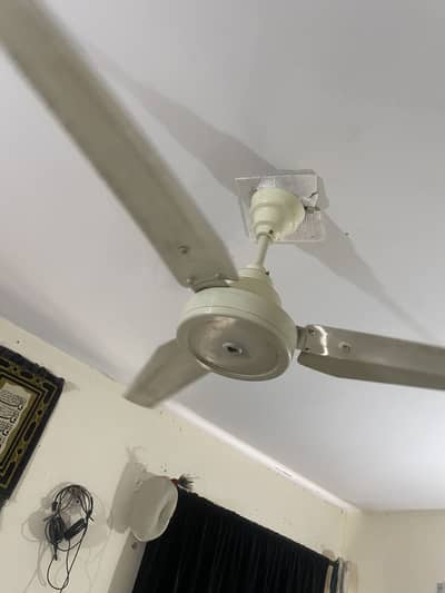 Super fan