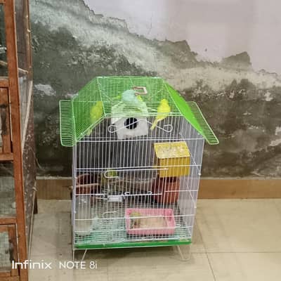Budgie and Cages