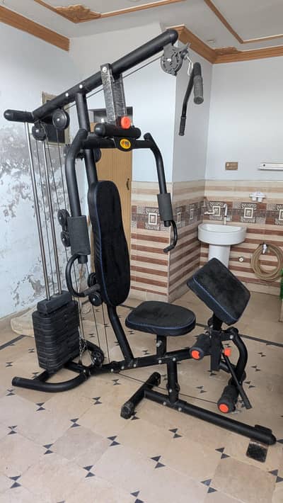 Pro Fitness Multi Home Gym Machine