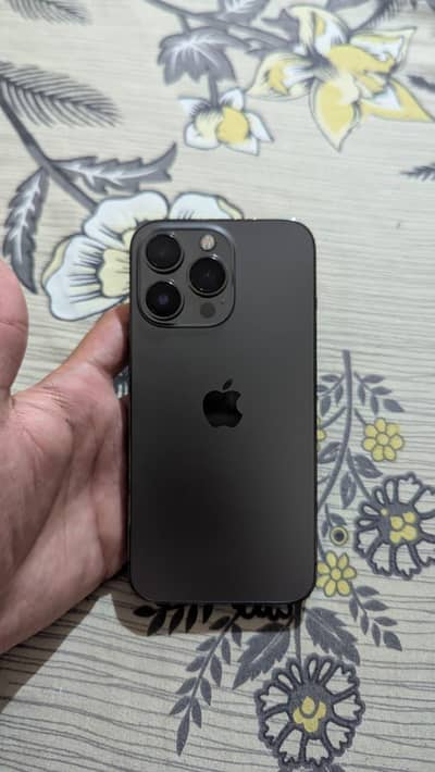 iPhone 13 Pro (Black)