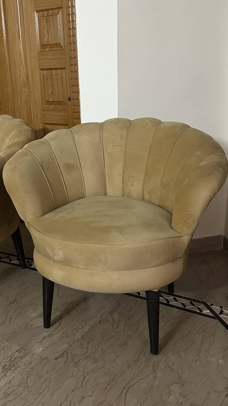 Sofa chairs 1