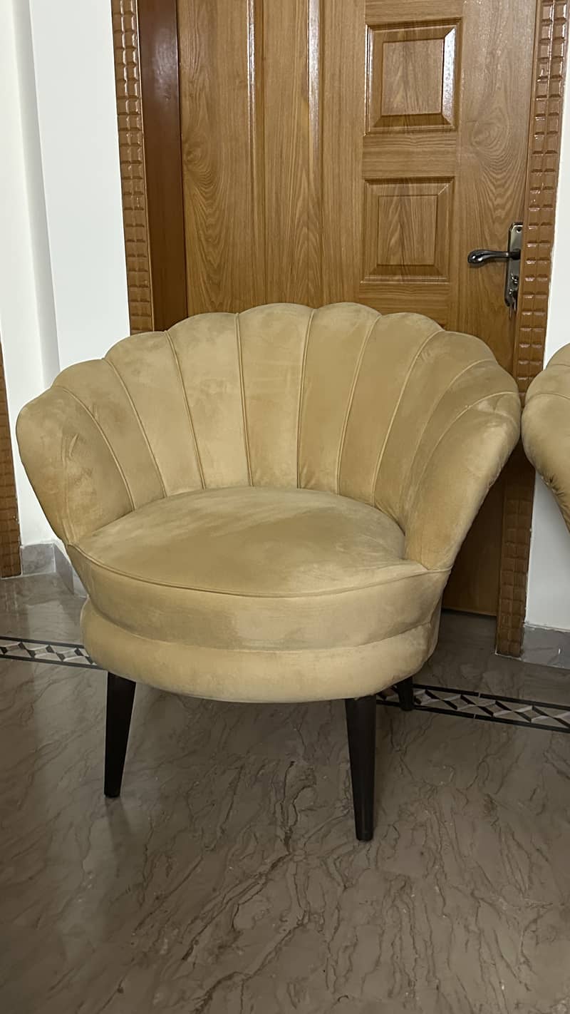 Sofa chairs 2