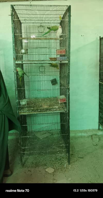 parrots cages 3 compartments