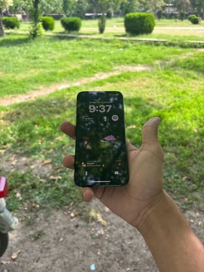 iphone xs 10/10