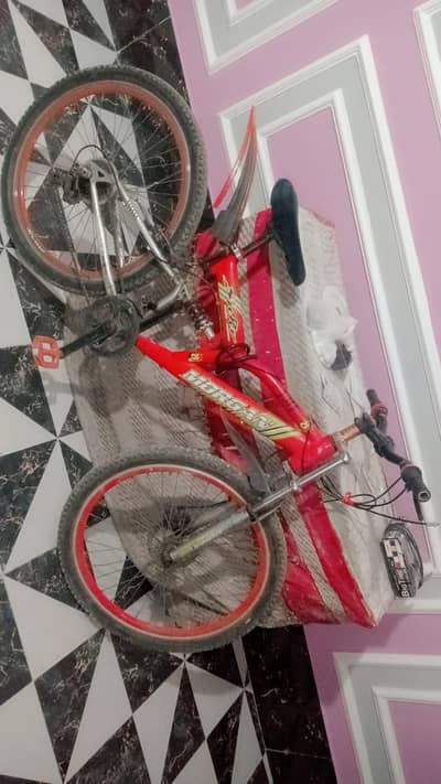 Big size cycle