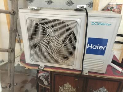1 year use only