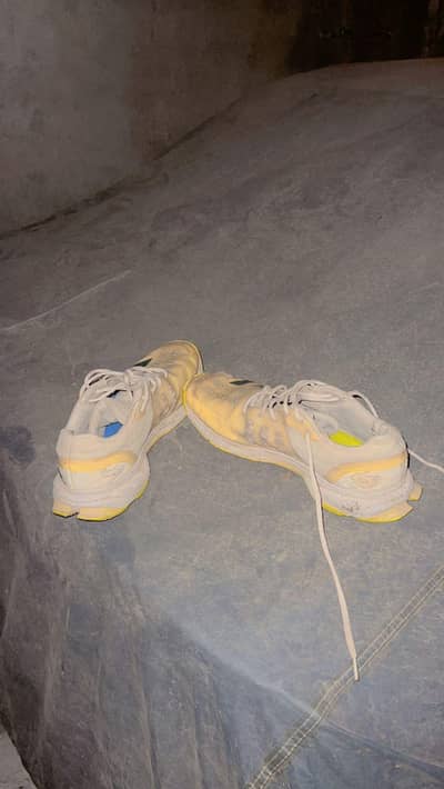 Addidas Shoes