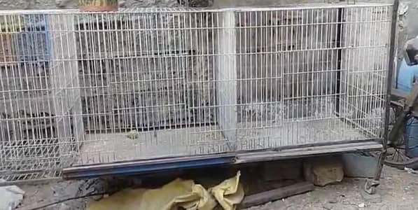 Hen Cage Big