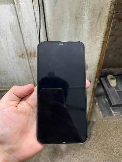 IPHONE 12 PRO MAX