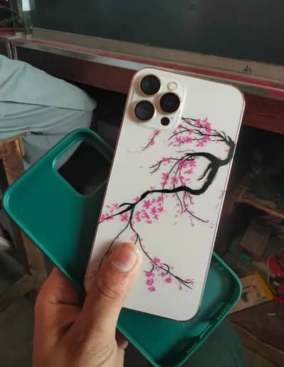 iphone 12 pro max water read add first