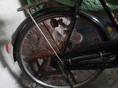 china cycle phoenix urgent for sale Mor WhatsApp 0329_7182789