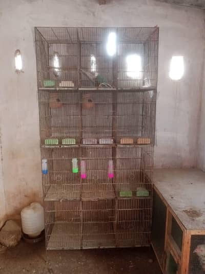 12 portions cage in reasonable price