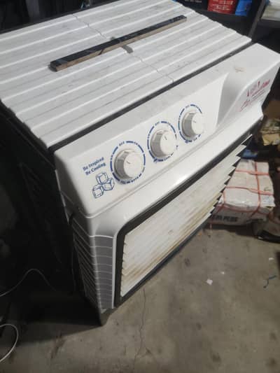 Ac/Dc Air Cooler