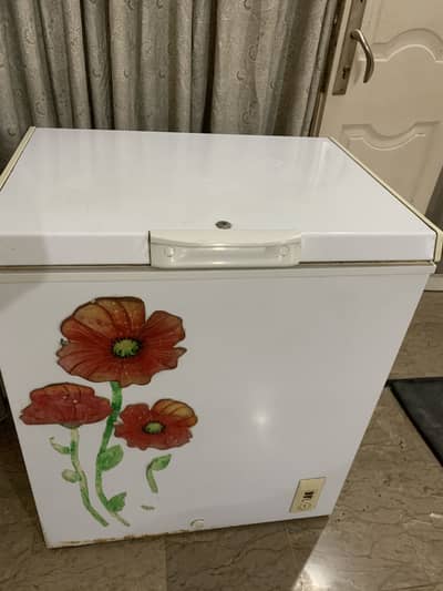 Haier single door deep freezer
