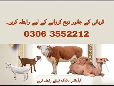 Professional Qasai For Qurbani / Book a Qasai/ Qasai for Eid ul adha