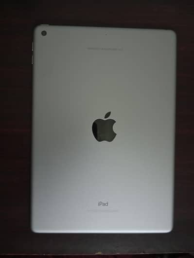Apple iPad 6th Gen (128GB)_ Space Gray _ 10/10 mint condition