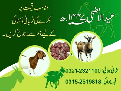 QURBANI