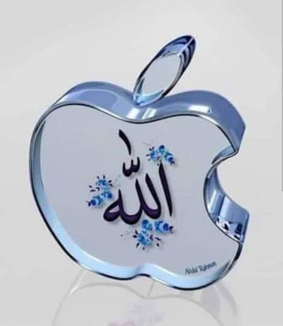 tuition contact no. 03008061379
