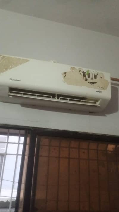 pro active