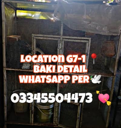 4 portion big cage