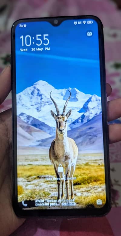 Vivo y19 8/256