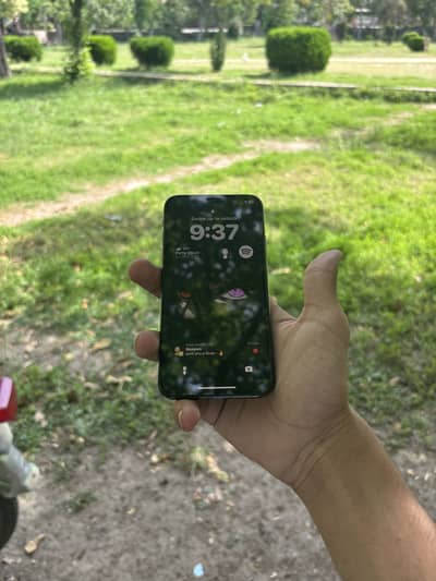 iPhone xs 10/10