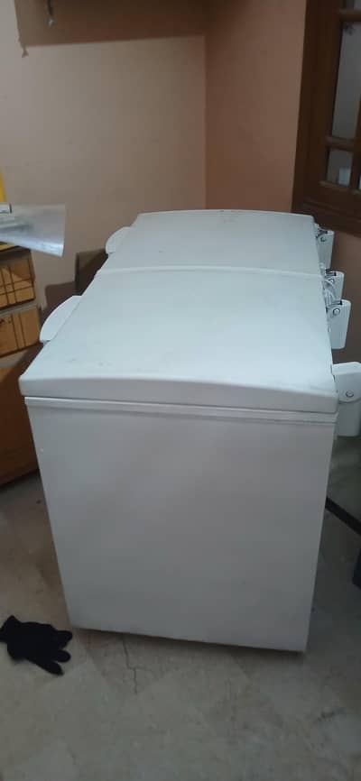 2 Door Freezer