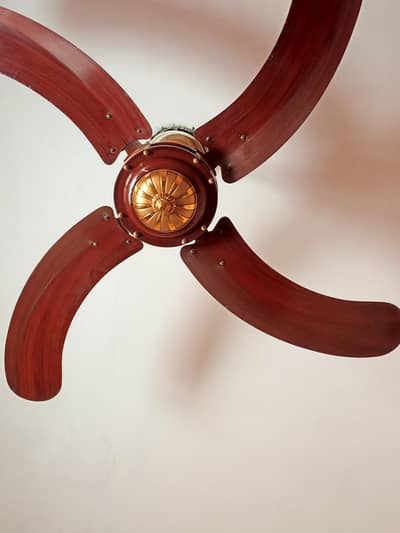 all good fans four wings