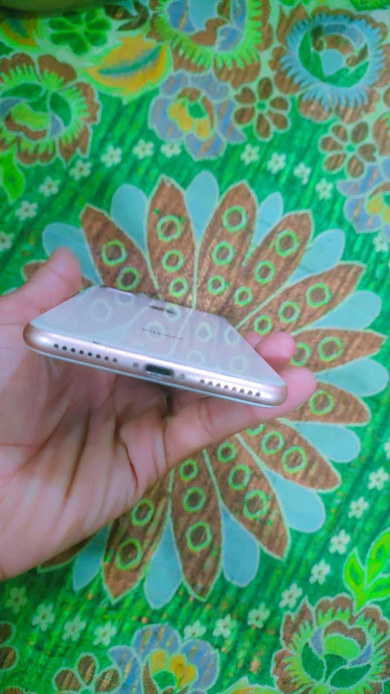 iPhone 8 plus 0