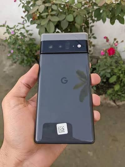 need google pixel 6 pro panel