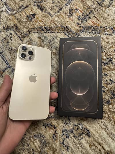 iPhone 12 Pro Max PTA Approved