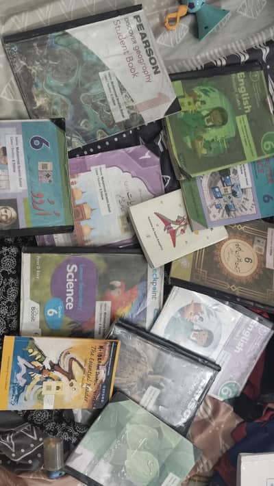 beaconhouse class 6 books