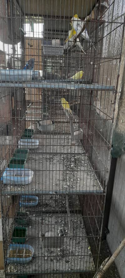 I am selling cages
