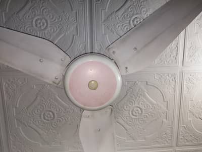 Ceiling fans