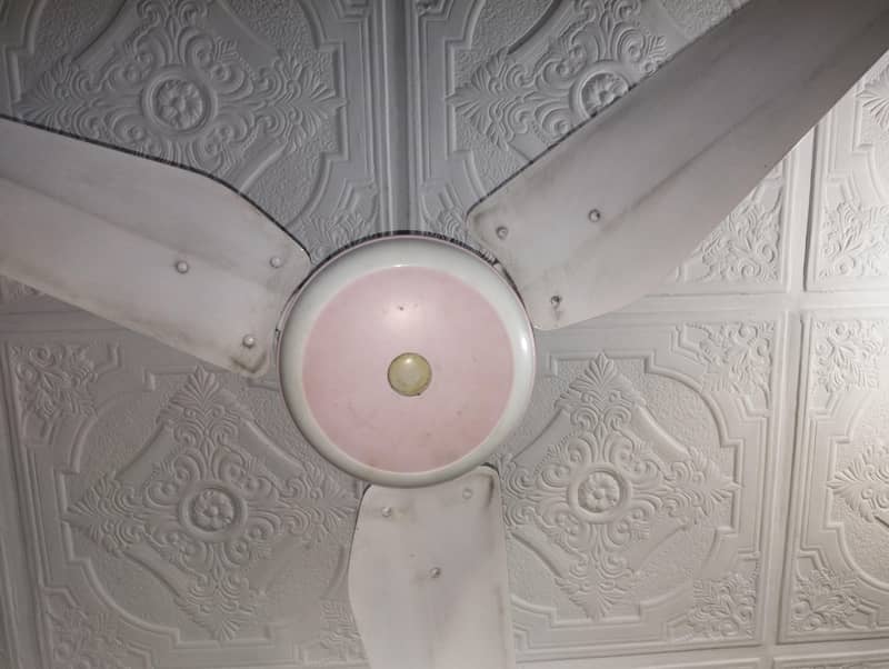 Ceiling fans 0