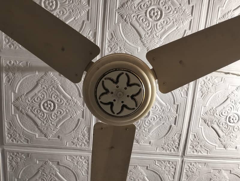 Ceiling fans 1