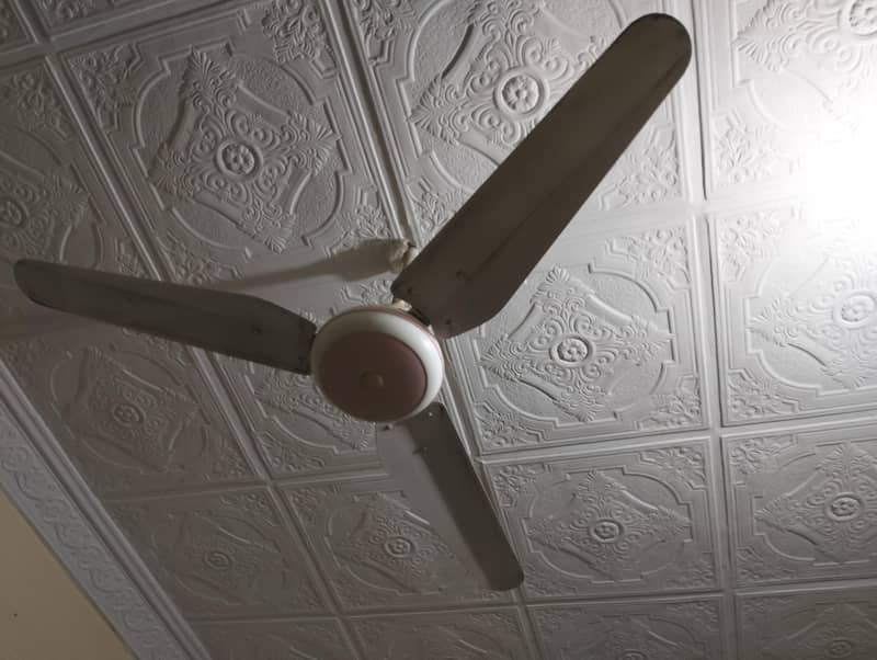 Ceiling fans 2