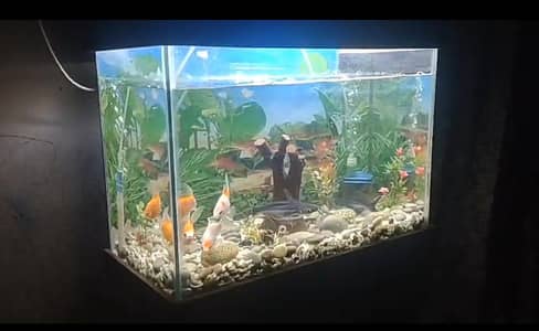 Aquarium