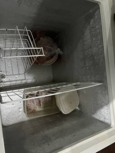 Hier deep freezer