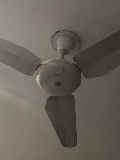 Lahore Fan / Ceiling Fan / Fan