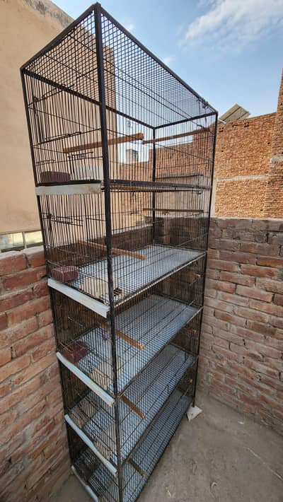 cage for birds