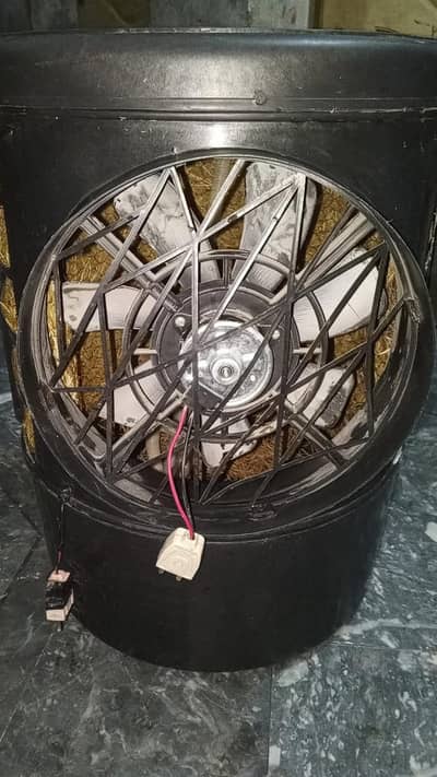 12 Walt air cooler